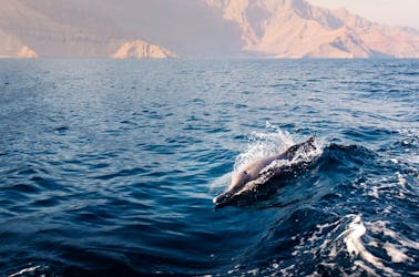 Excursão turística com golfinhos no Golfo de Omã