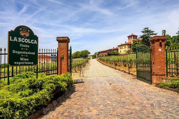 Descubra onde Gavi nasceu - Visite e degustação na vinícola La Scolca