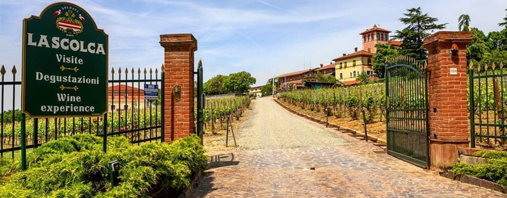 Discover where Gavi was born - Visit and tasting at La Scolca winery