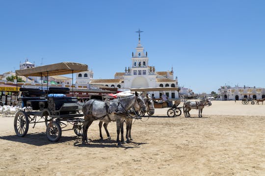 Viva Andalucia