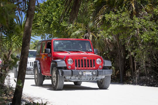 Cozumel 4x4 Safari