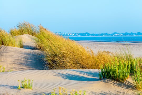 Excursión a Parque Nacional de Doñana desde Sevilla