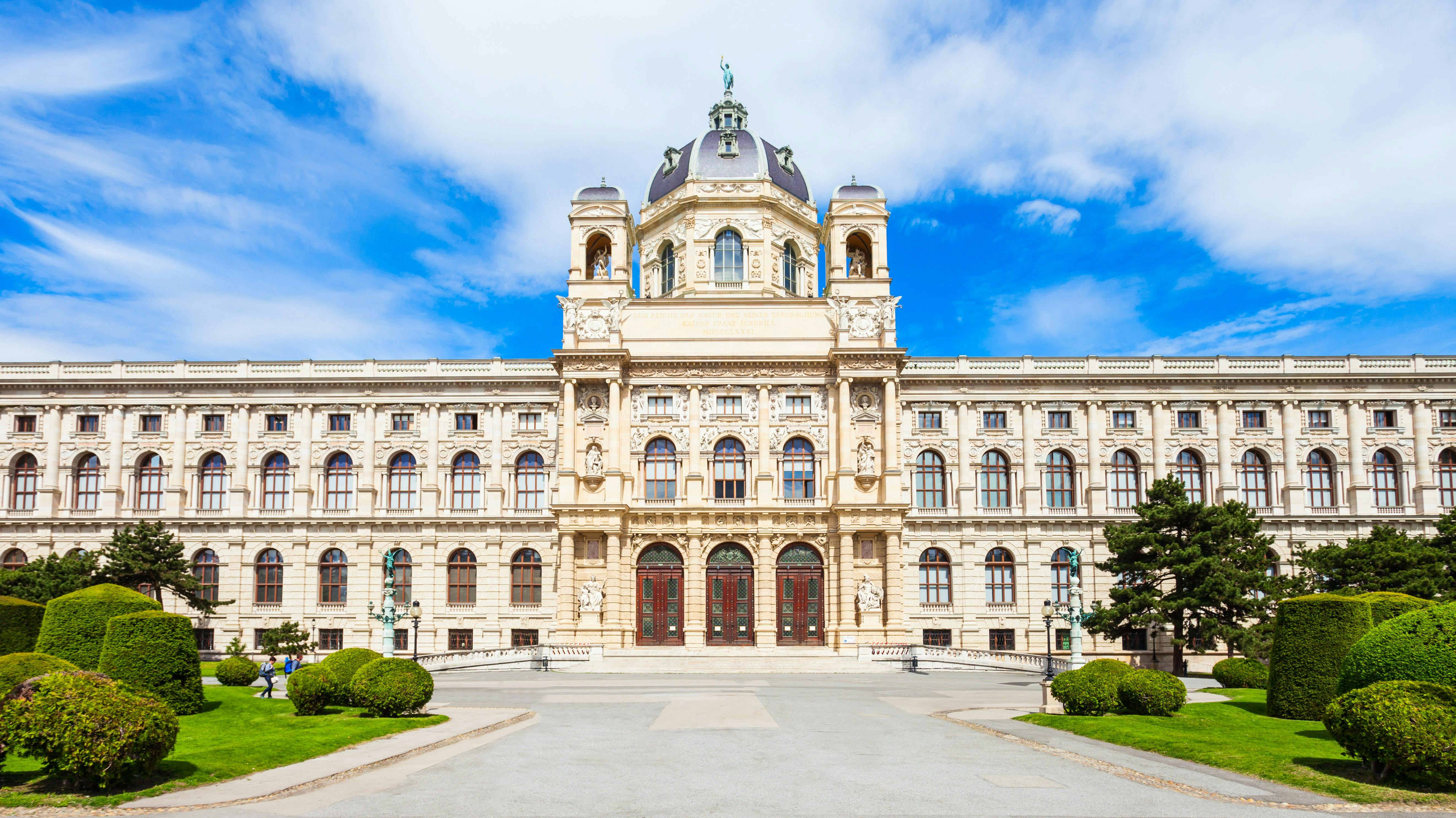 Det Kunsthistoriske Museum i Wien med privat guidet rundvisning