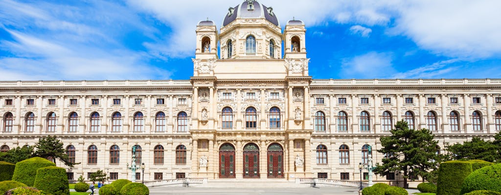 Visita guidata privata al Museo di storia dell'arte di Vienna