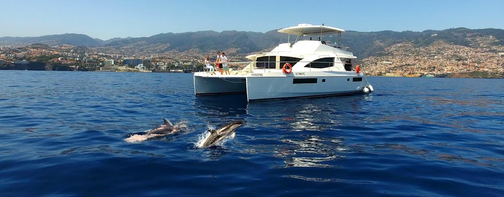 Avistamiento de delfines y ballenas en Funchal con catamarán de lujo todo incluido