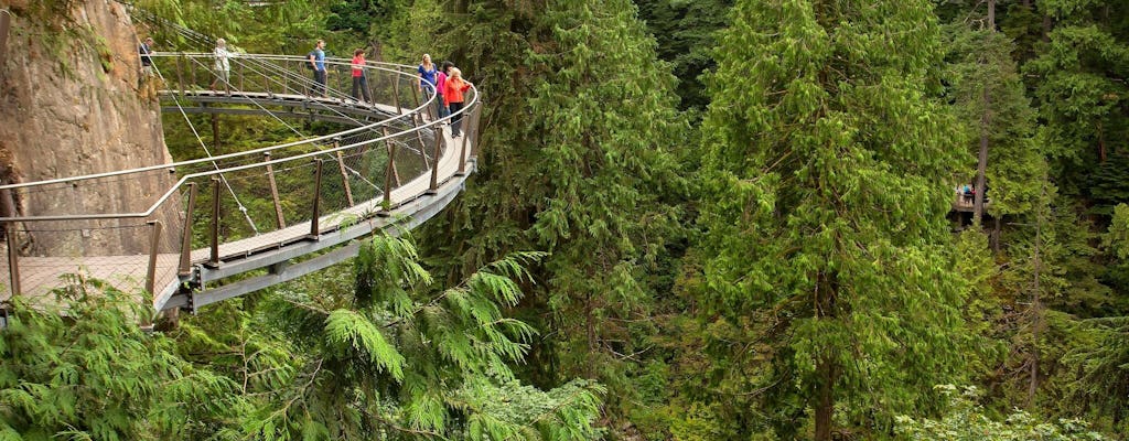 Grouse Mountain en Capilano Suspension Bridge Park-tour