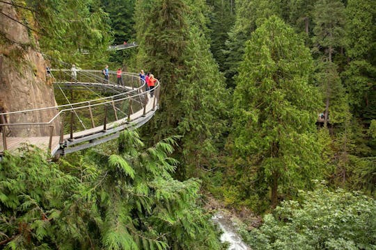 Parc Grouse Mountain et le pont suspendu de Capilano