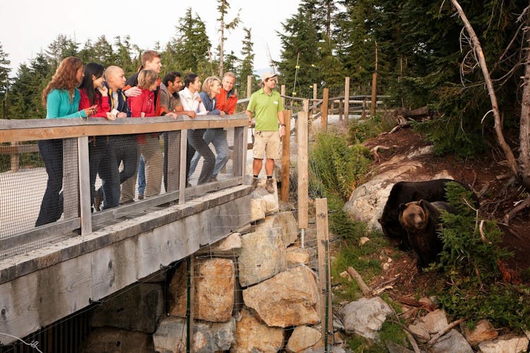 Grouse Mountain and Capilano Suspension Bridge Park tour