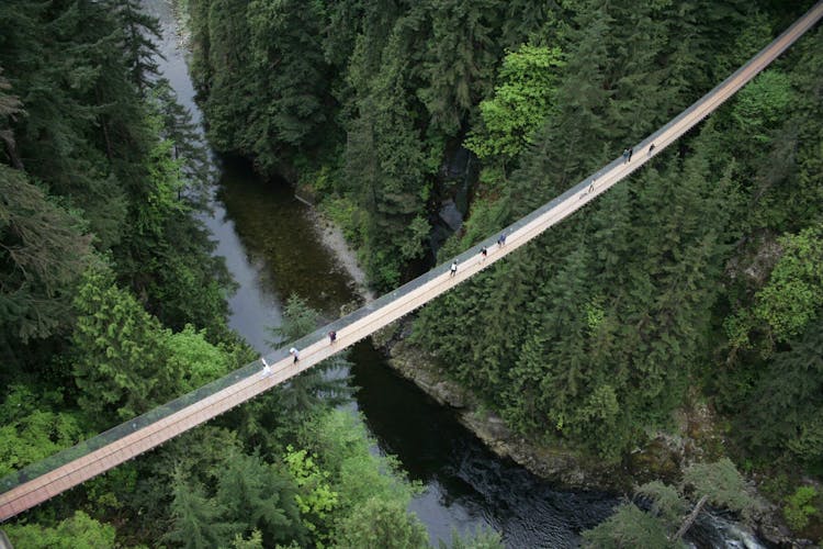 Grouse Mountain and Capilano Suspension Bridge Park tour