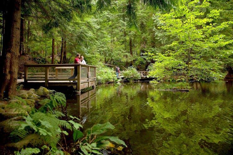 Grouse Mountain and Capilano Suspension Bridge Park tour