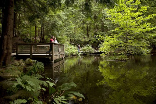 Rainforest at Capilano Suspension Bridge Park - Capilano Suspension Bridge Park.jpg