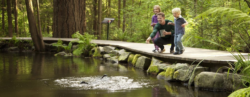 Tour naar de stad Vancouver en de hangbrug Capilano