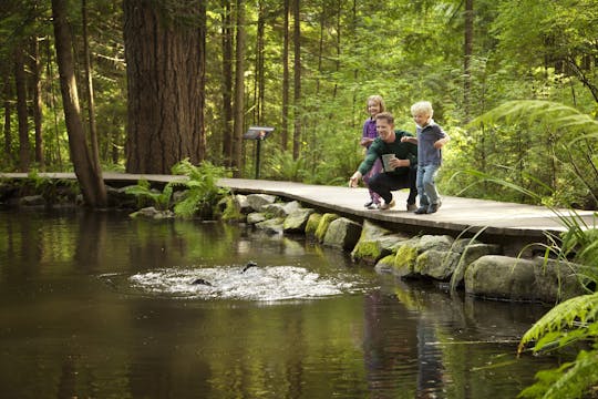 Vancouver City and Capilano Suspension Bridge tour