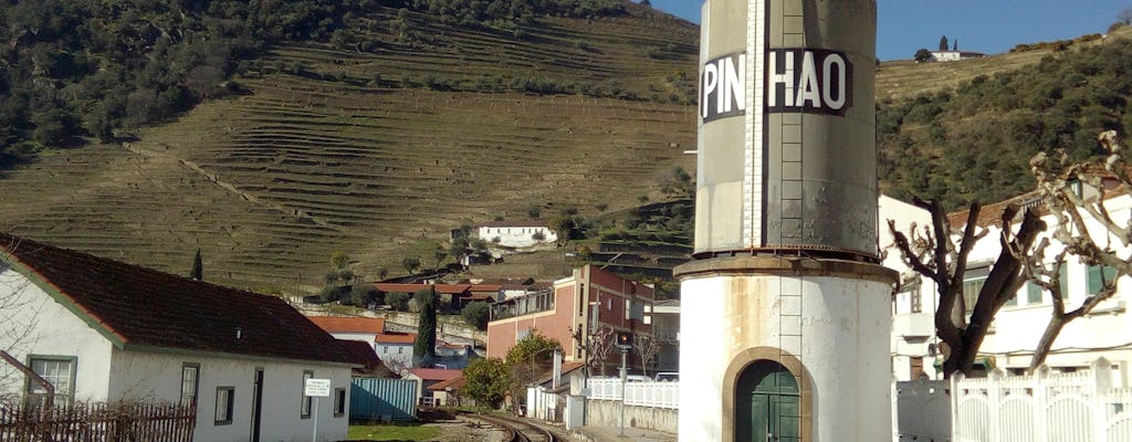 Expérience viticole dans la vallée du Douro