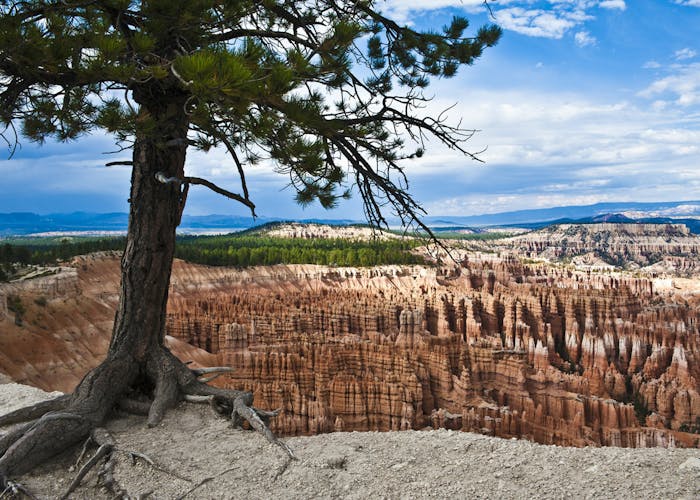 Bryce Canyon National Park private tour from Las Vegas