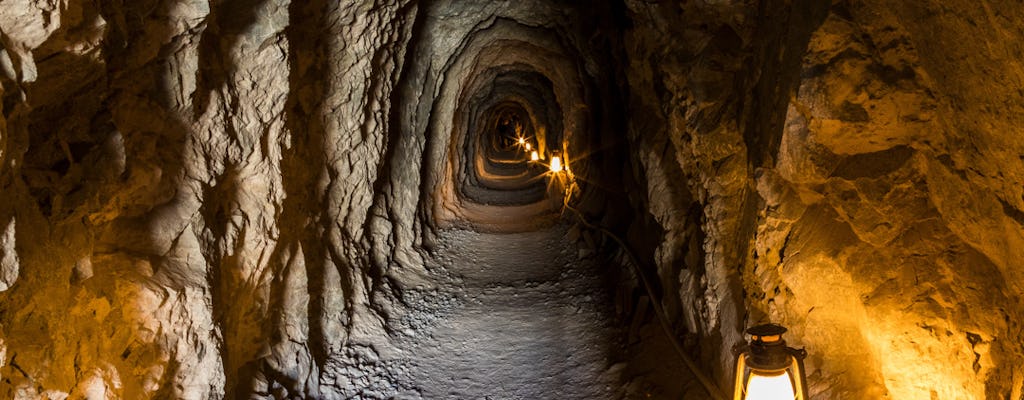 Visite d'une demi-journée de l'Eldorado Canyon et de la mine Techatticup au départ de Las Vegas