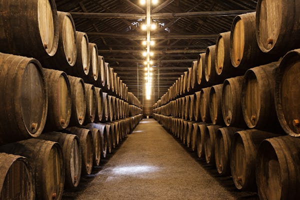 Cata de vinos privada de Porto