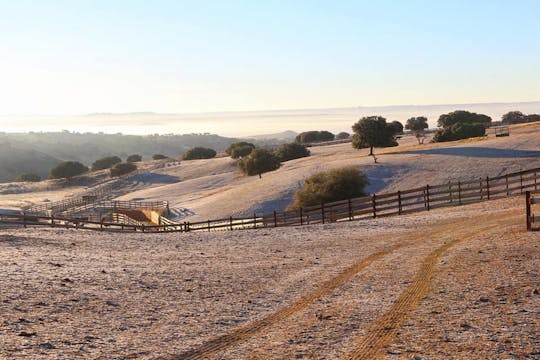 Visita guidata del ranch San Isidro con antipasto