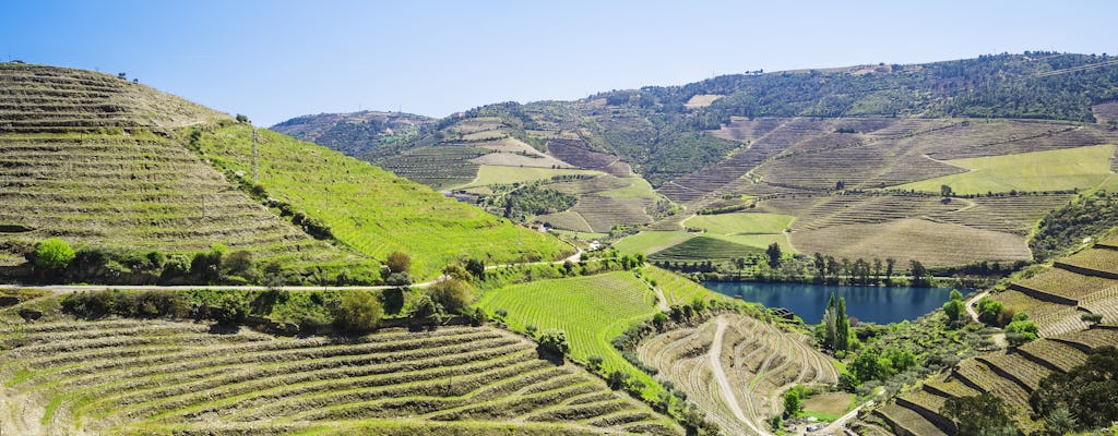 Visita privada ao vale do Douro
