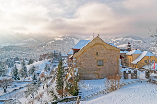 Full-day winter tour to Gruyères from Lausanne by bus