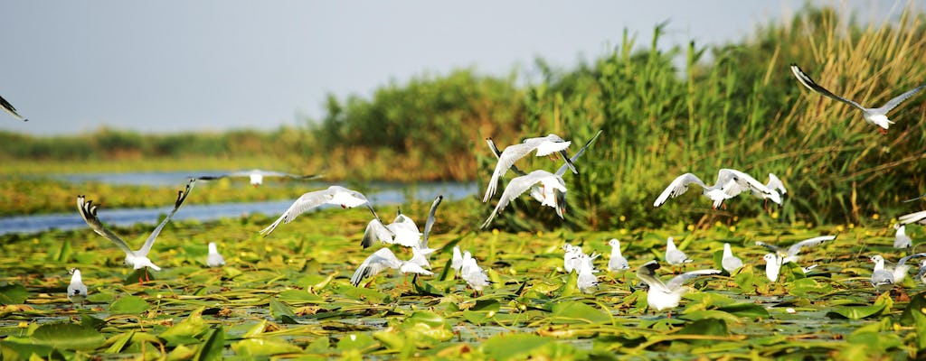 2-day guided tour of the Danube Delta and the Black Sea