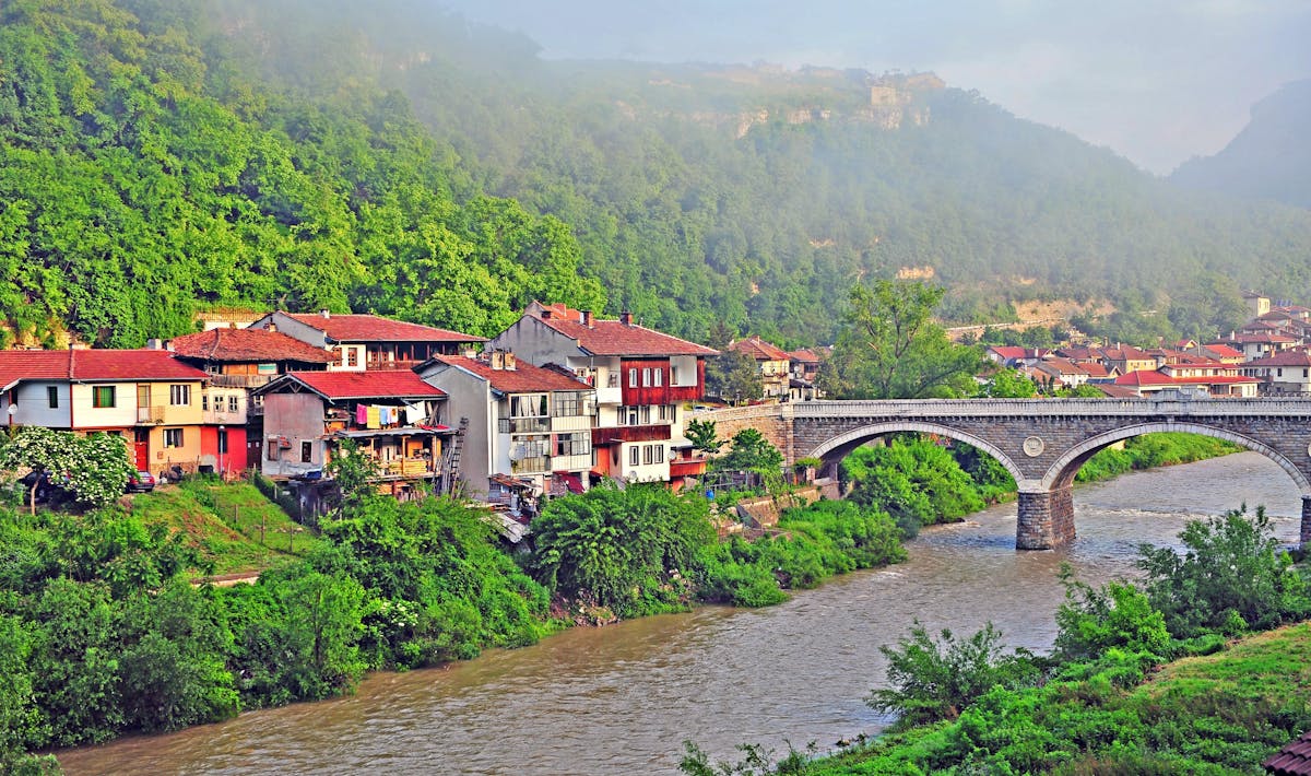 156339_002.jpg