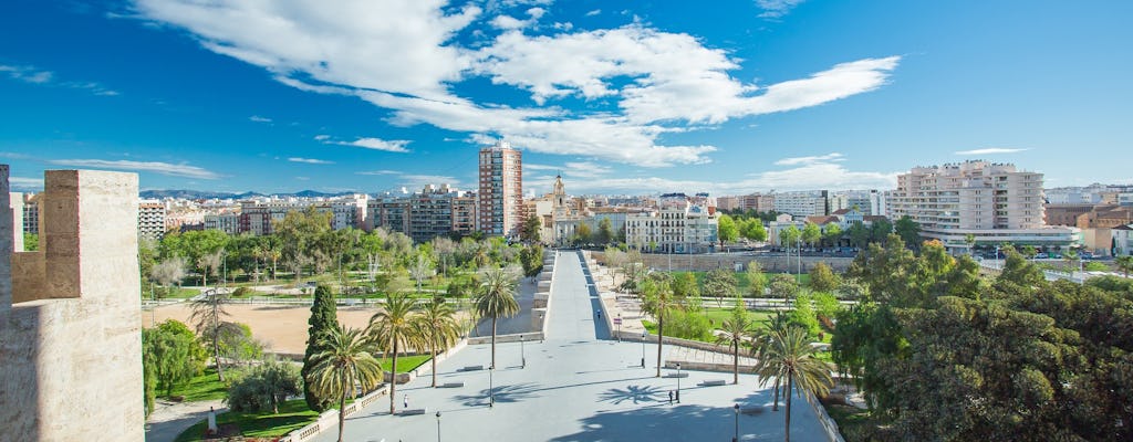 Tour privato a piedi della città nuova di Valencia