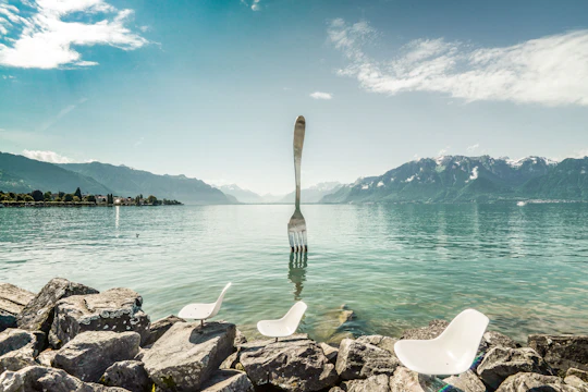 Chaplin, Montreux and Chillon castle Gold tour with cruise