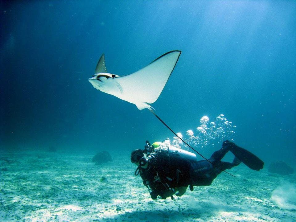 Three-day PADI Open Water Diving Course in Ko Lanta