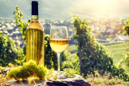 Experiência de degustação de vinhos romenos em Bucareste