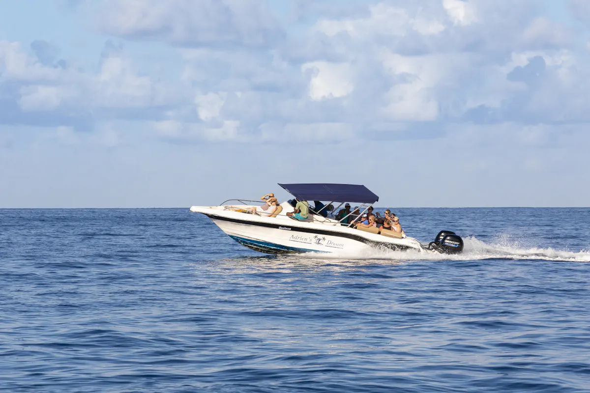 2_Mauritius_Adriens Dream Dolphin Watching_16.jpg