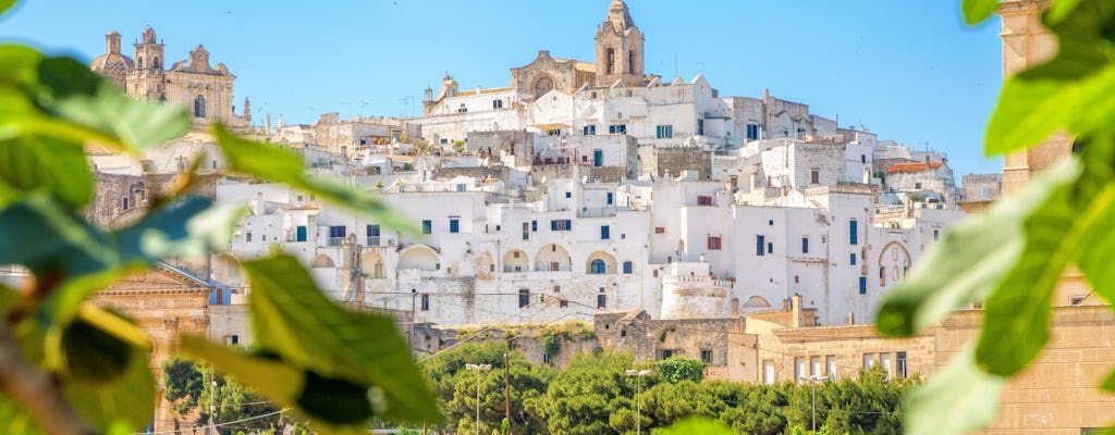 Visita guiada ao Valle d'Itria saindo de Lecce