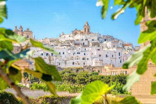 Valle d'Itria guided tour from Lecce