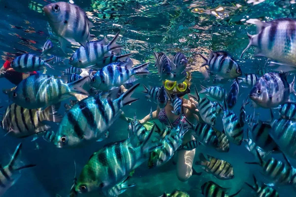 Koh Tao Szybkim Katamaranem
