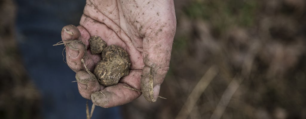 Truffle hunting and Barolo tasting