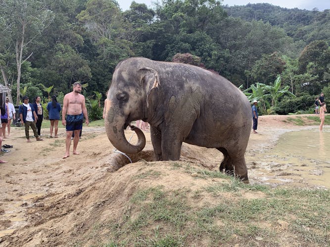 Green Elephant Sanctuary Park Phuket
