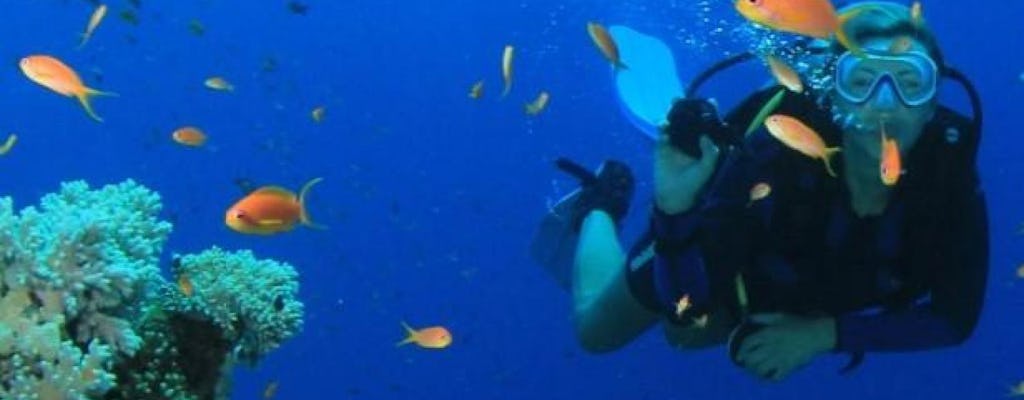 Key West day trip and snorkeling adventure