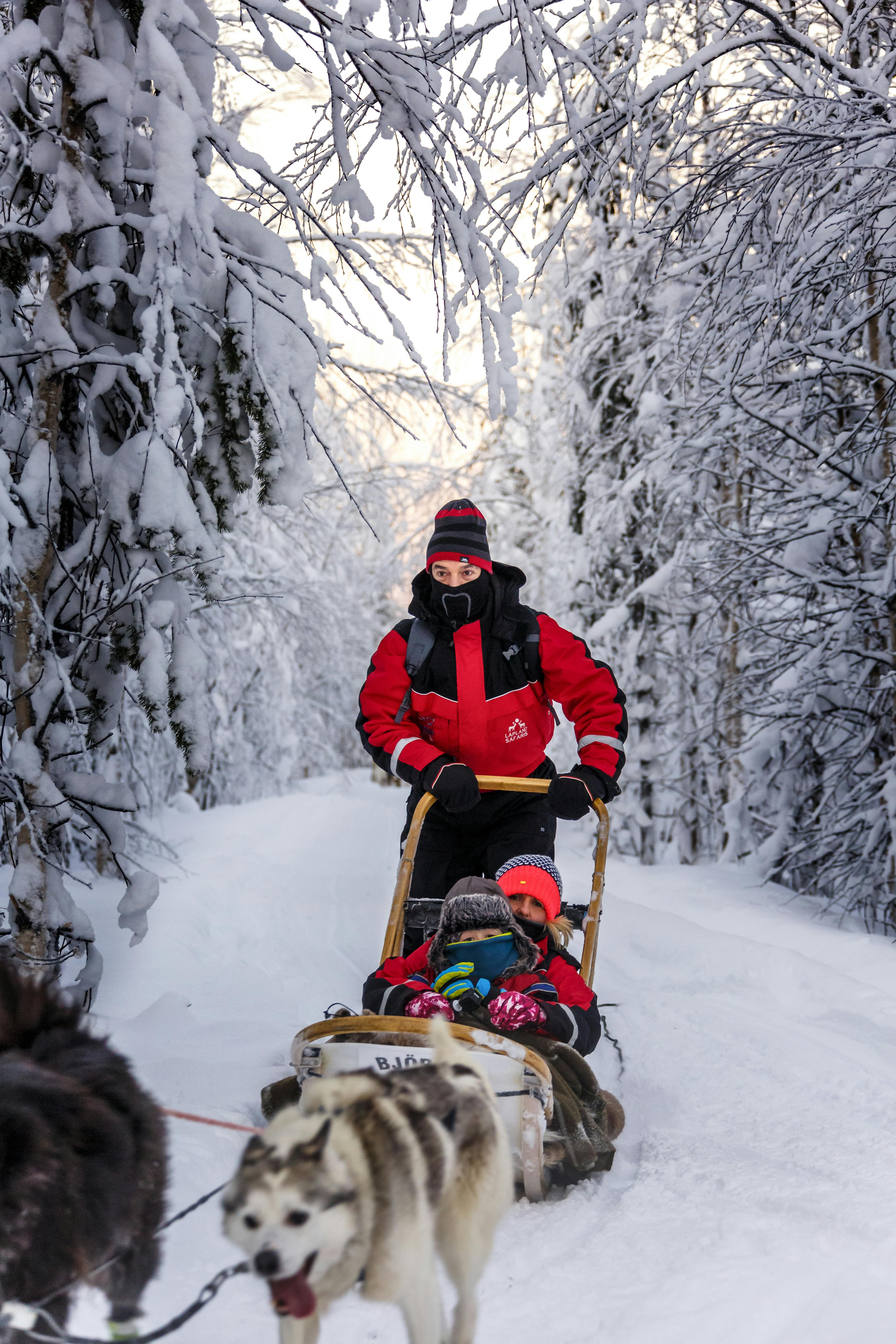 Kuusamo Husky Sleigh Driving