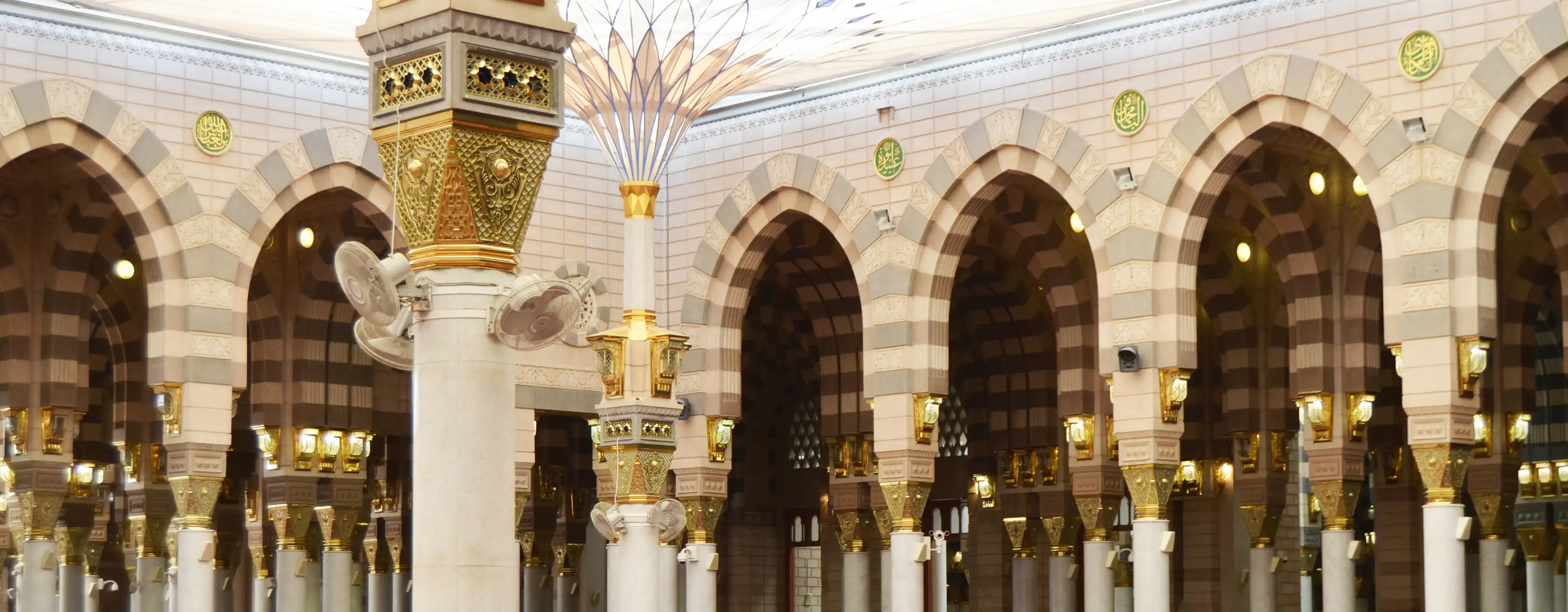 Aktivitäten in Medina