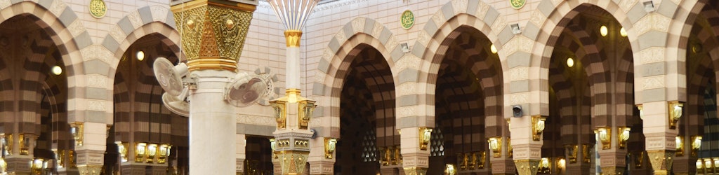 Tour e attività a Medina