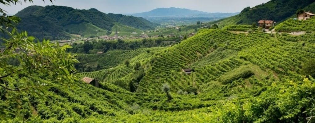 TOUR ON THE “PROSECCO ROAD”
