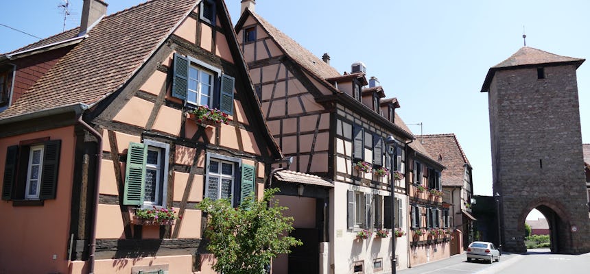 Discovery of the heart of Alsace from Strasbourg
