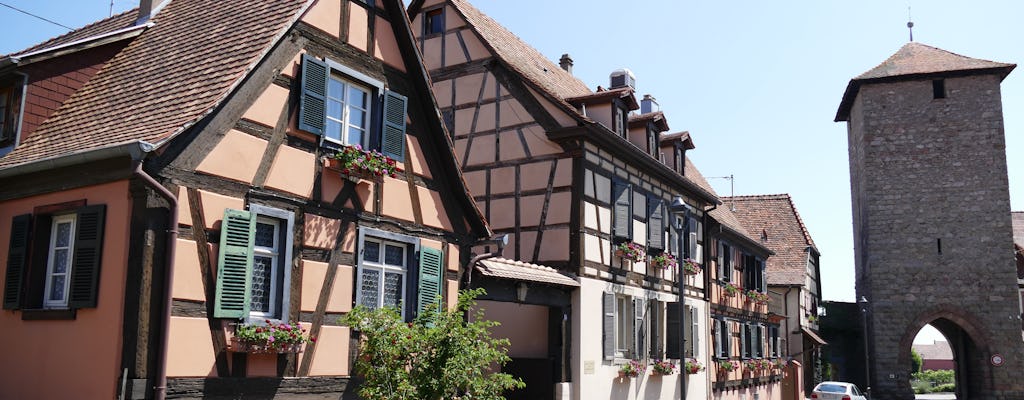 Discovery of the heart of Alsace from Strasbourg
