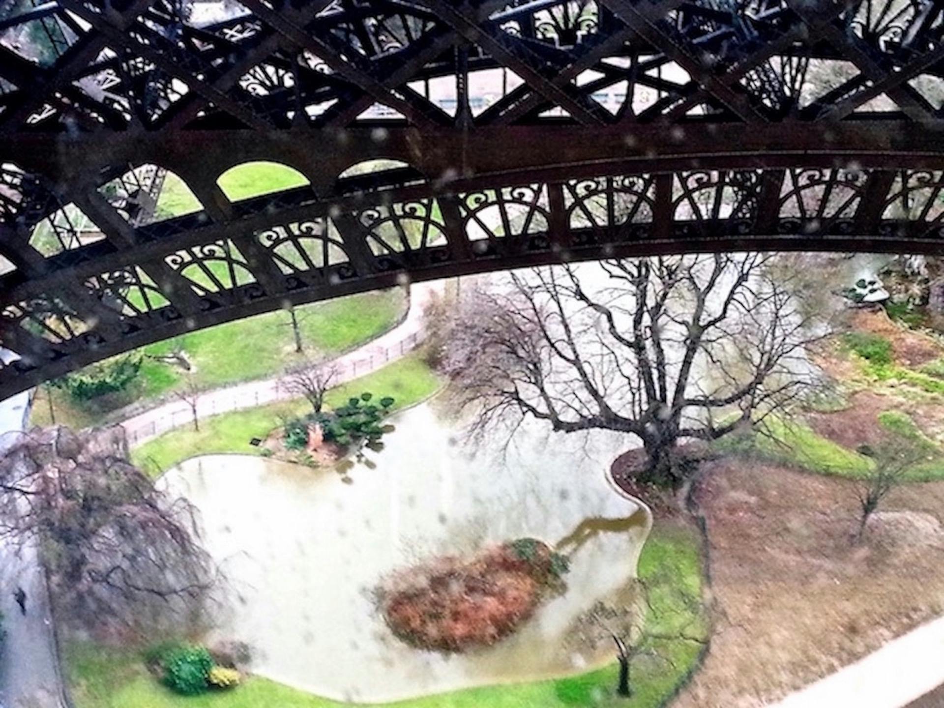 view from first floor Eiffel Tower.jpg