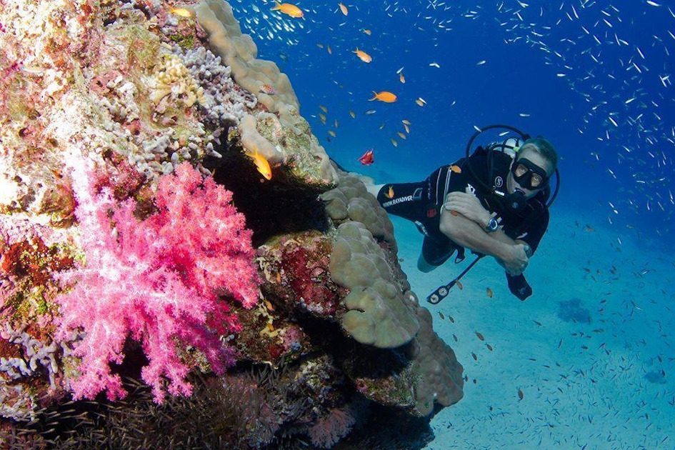Krabi Two-day PADI Rescue Diving Course | musement