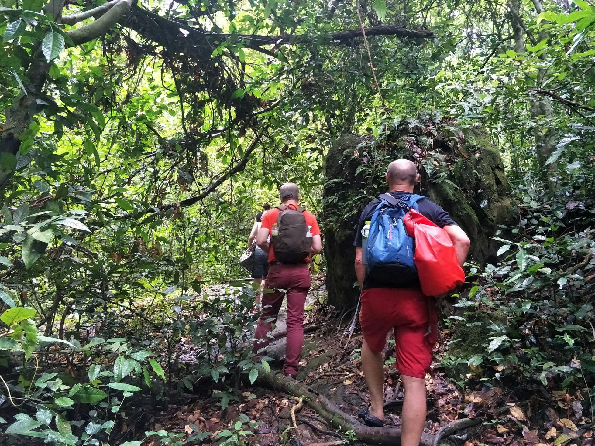 Randonnée pédestre dans la jungle de Phuket