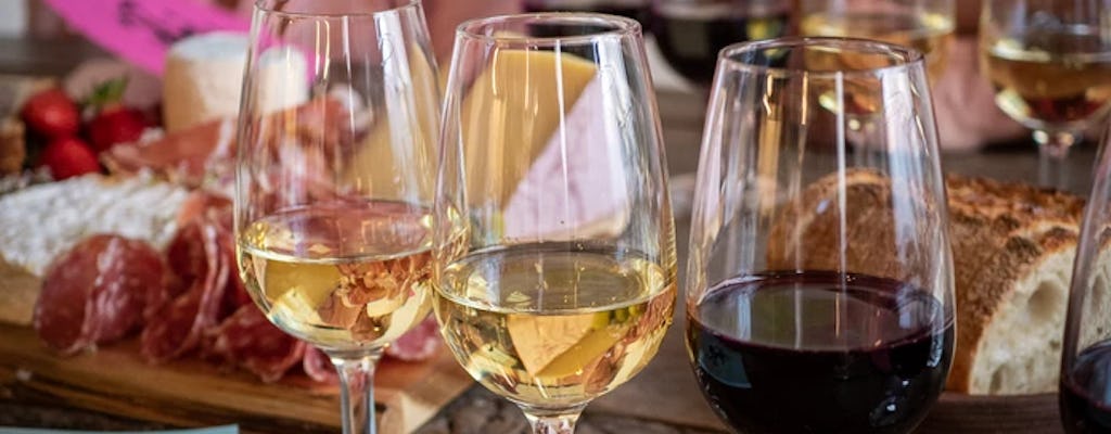 Cata de vinos de los mejores vinos de Borgoña en Lyon.