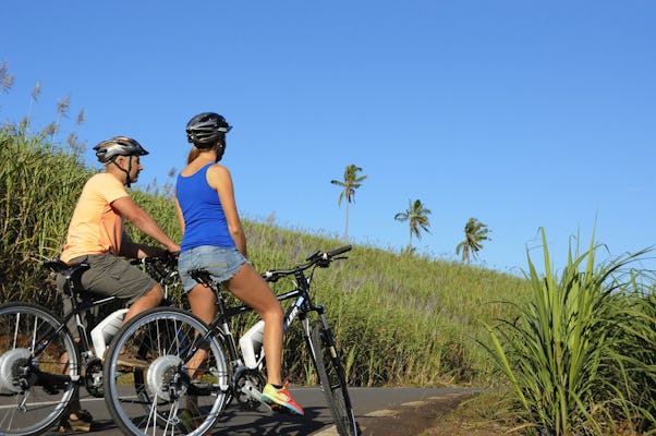 Mauritius e-biking and wine tour