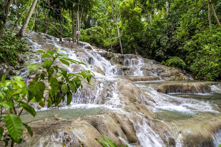 Dunn’s River Falls Tour