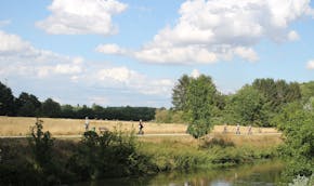 Things To Do In Mannheim Museums And Attractions Musement